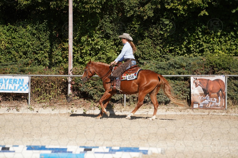 s_A_908313.JPG